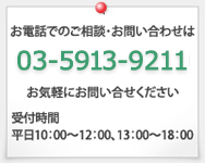 ���d�b�ł̂����k�E���₢���킹��03�]5913�]9110